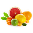 Citrus Extract