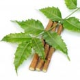 Neem Extract