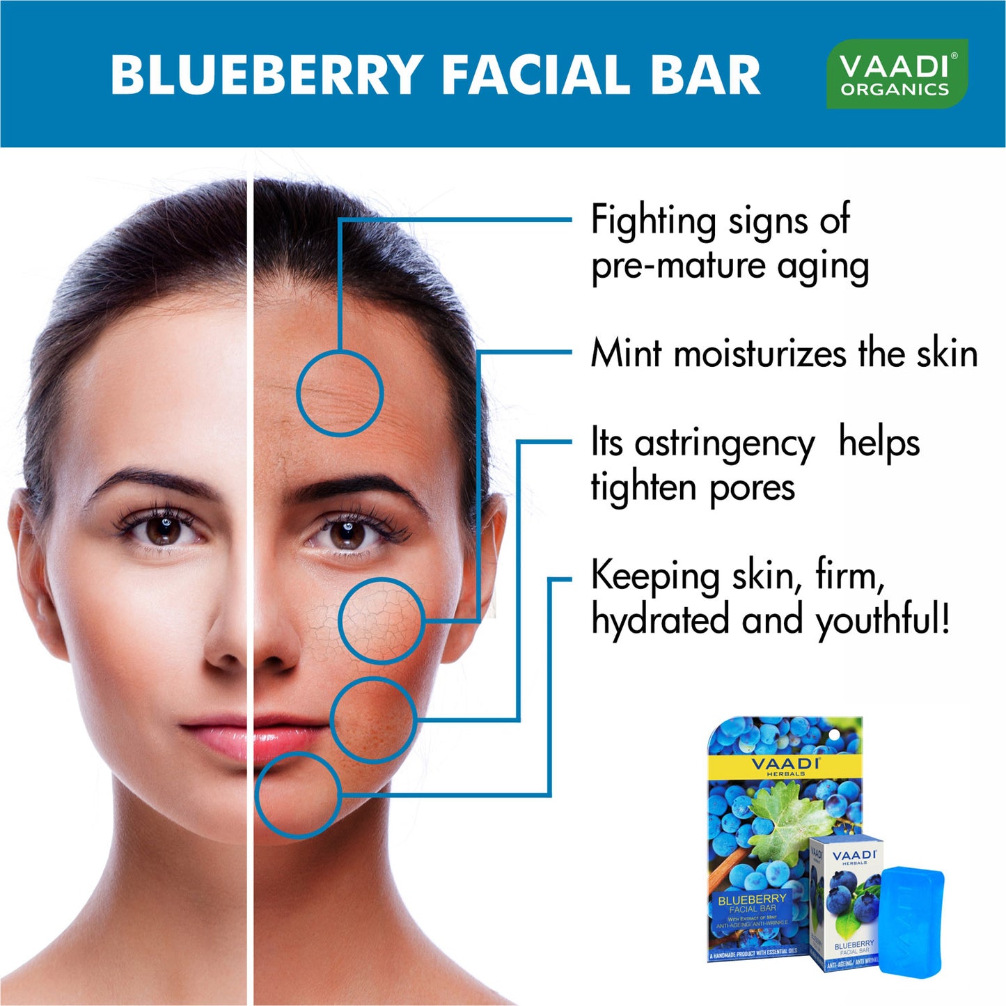 Blueberry Facial Bar with Mint Extract & Olive Oil - Prevents Wrinkles - Makes Skin Youthful (6 x 25 gms/0.9 oz)
