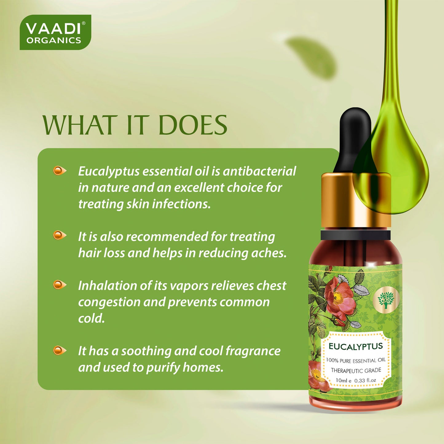 Eucalyptus Essential Oil - Prevents Hairfall, Acne, Soothing & Cool Fragrance - 100% Pure Therapeutic Grade (10 ml/ 0.33 oz)