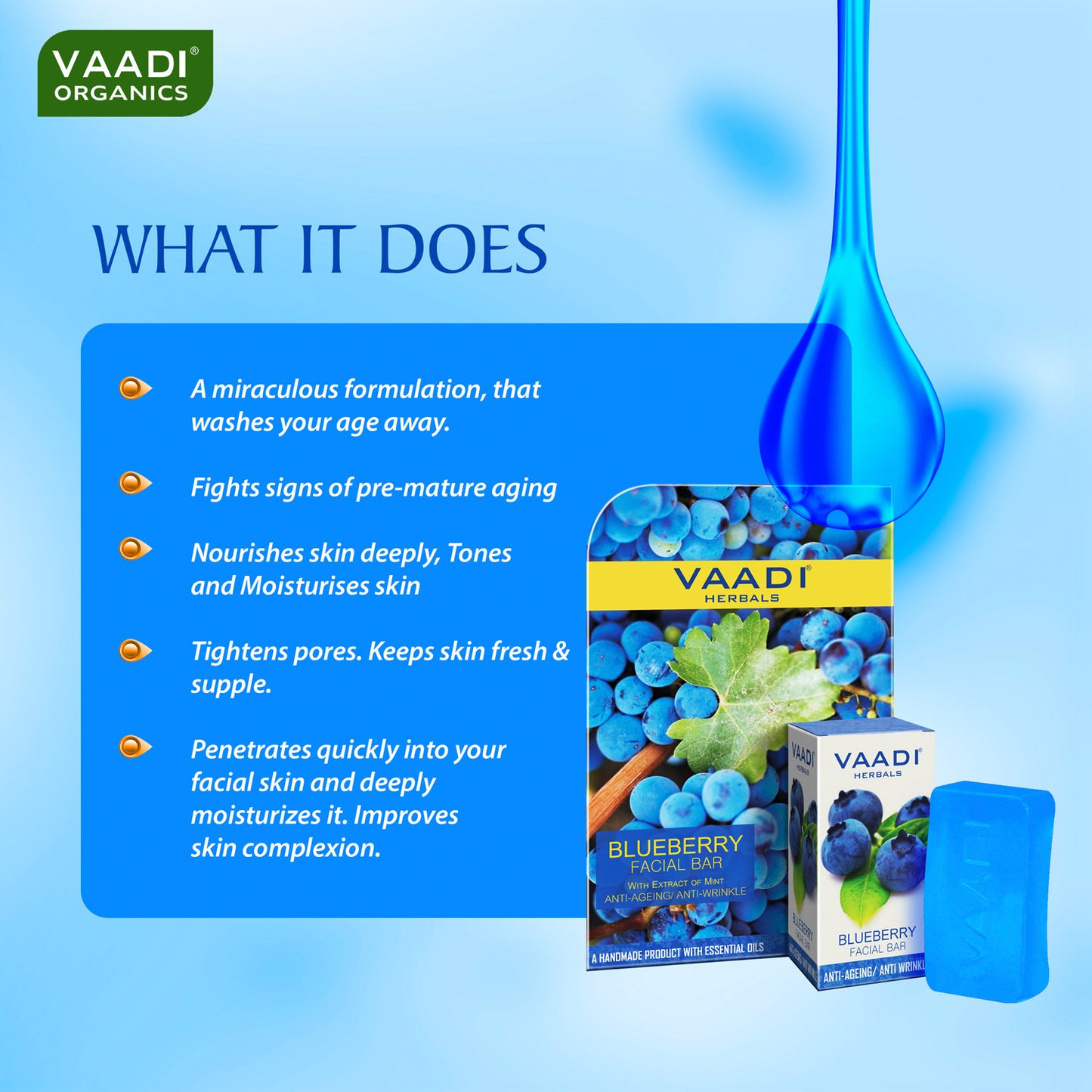 Blueberry Facial Bar with Mint Extract & Olive Oil - Prevents Wrinkles - Makes Skin Youthful (6 x 25 gms/0.9 oz)