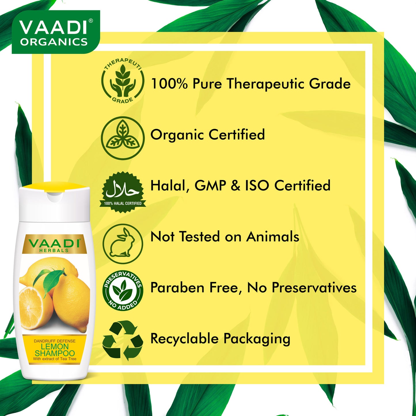 Dandruff Defense Lemon Shampoo with Olive Conditioner (2 x 110 ml/ 4 fl oz)
