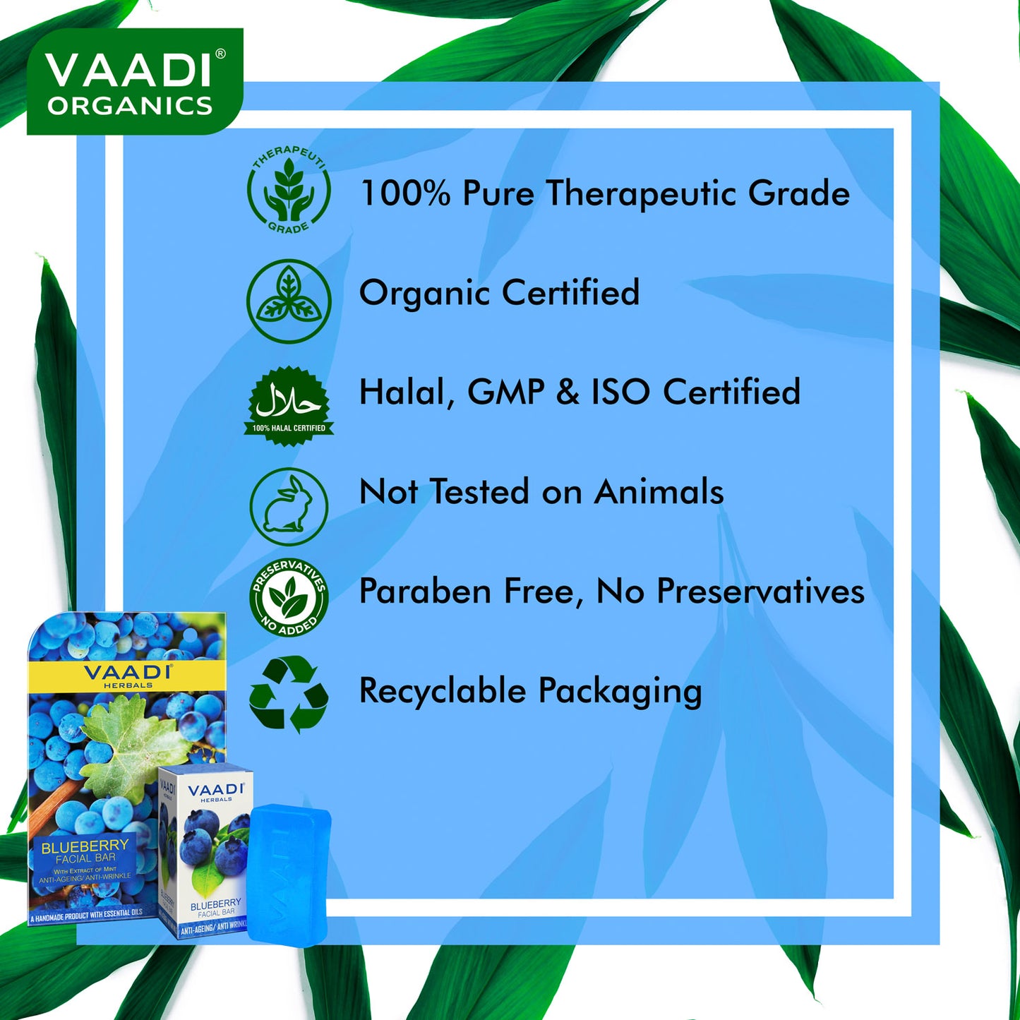 Organic Blueberry Facial Bar with Mint Extract & Olive Oil - Prevents Wrinkles - Makes Skin Youthful (25 gms/0.9 oz)