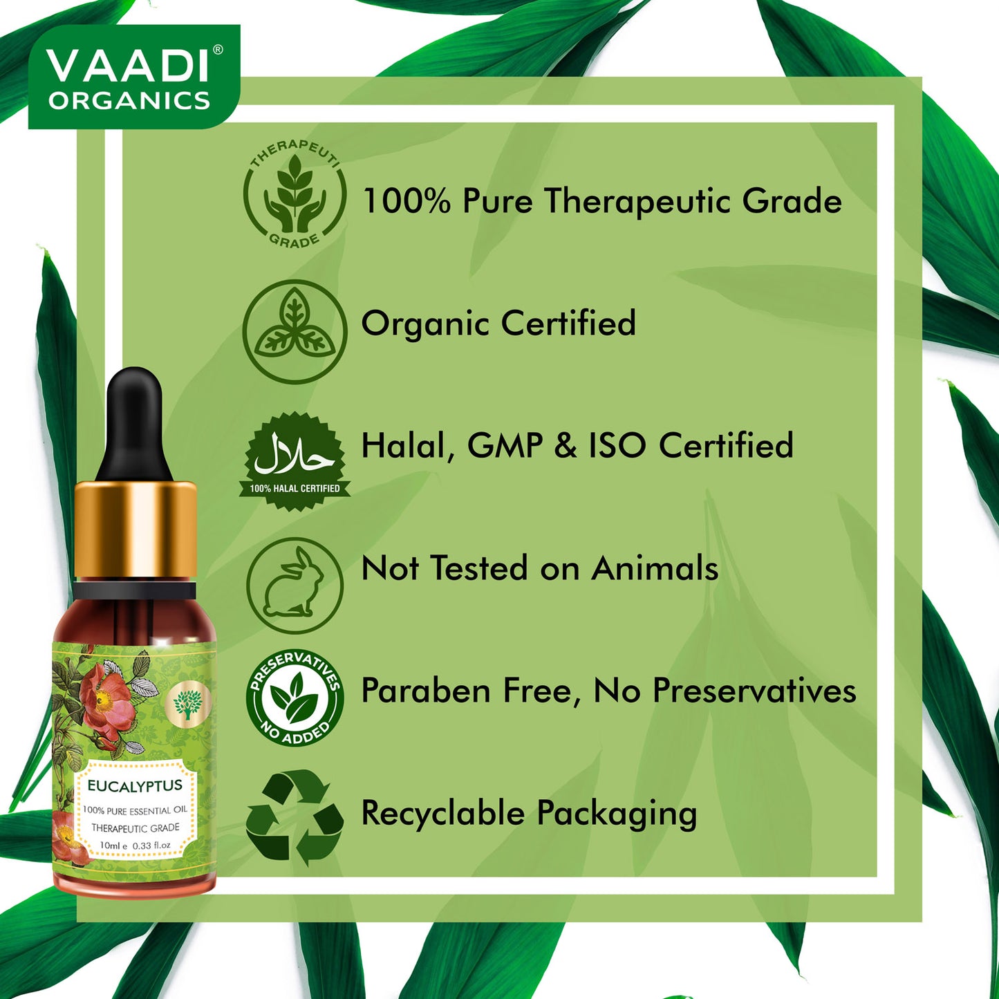 Eucalyptus Essential Oil - Prevents Hairfall, Acne, Soothing & Cool Fragrance - 100% Pure Therapeutic Grade (10 ml/ 0.33 oz)