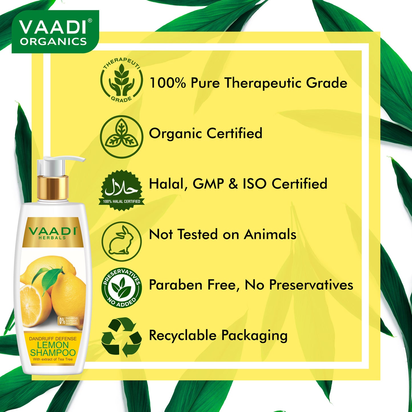 Dandruff Defense Lemon Shampoo with Tea Tree Extract - Disinfects Scalp - Prevents Hairfall (350 ml/ 12 fl oz)