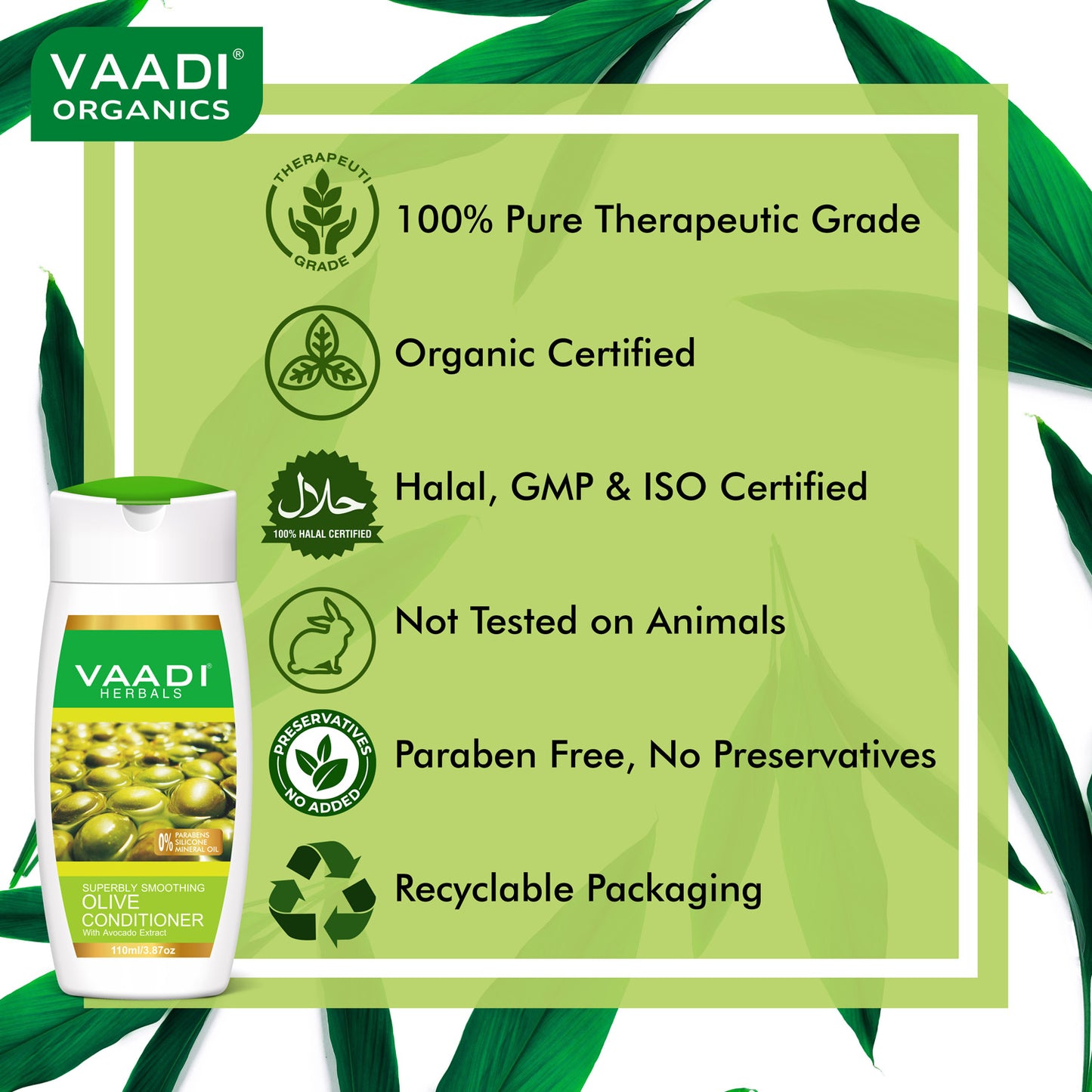 Multi Vitamin Rich Olive Conditioner with Avocado Extract - Makes Hair Lustrous - Adds Bounce to Hair (110 ml/ 4 fl oz)