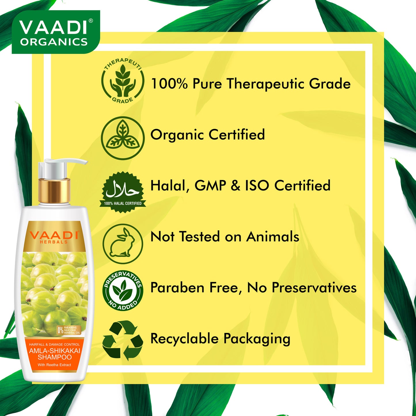 Hairfall & Damage Control Shampoo (Indian Gooseberry Extract) - Promotes Hair Growth - Adds Shine to Hair (3 x 350 ml/12 fl oz)