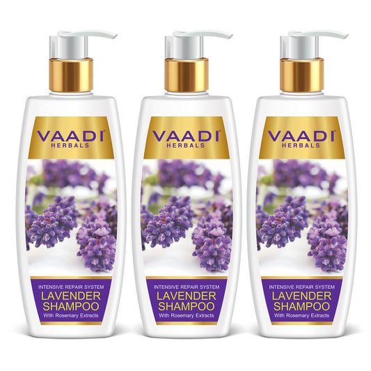 Intensive Repair Lavender Shampoo with Rosemary Extract- Improves Hair Growth - Ultra Nourishing (3 x 350 ml/ 12 fl oz)