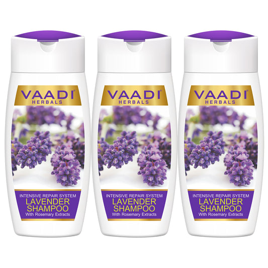 Intensive Repair Lavender Shampoo with Rosemary Extract- Improves Hair Growth - Ultra Nourishing (3 x 110 ml/ 4 fl oz)