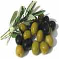 Olive Extract