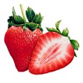 Strawberry Extract