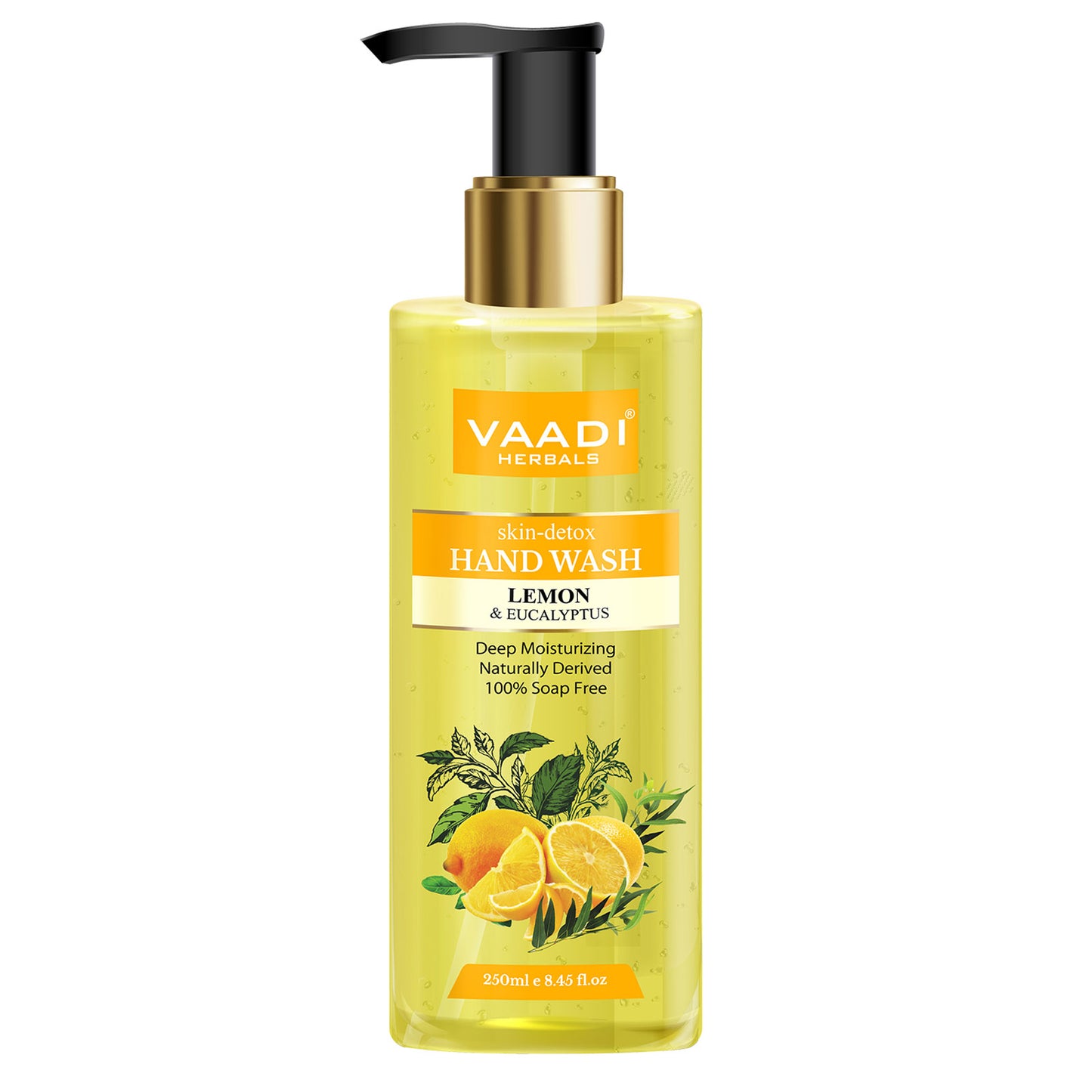 So Refreshing - Pack of 2 Luxurious Handwash - Blueberry & Lemon (2 x 250 ml / 8.5 fl oz )