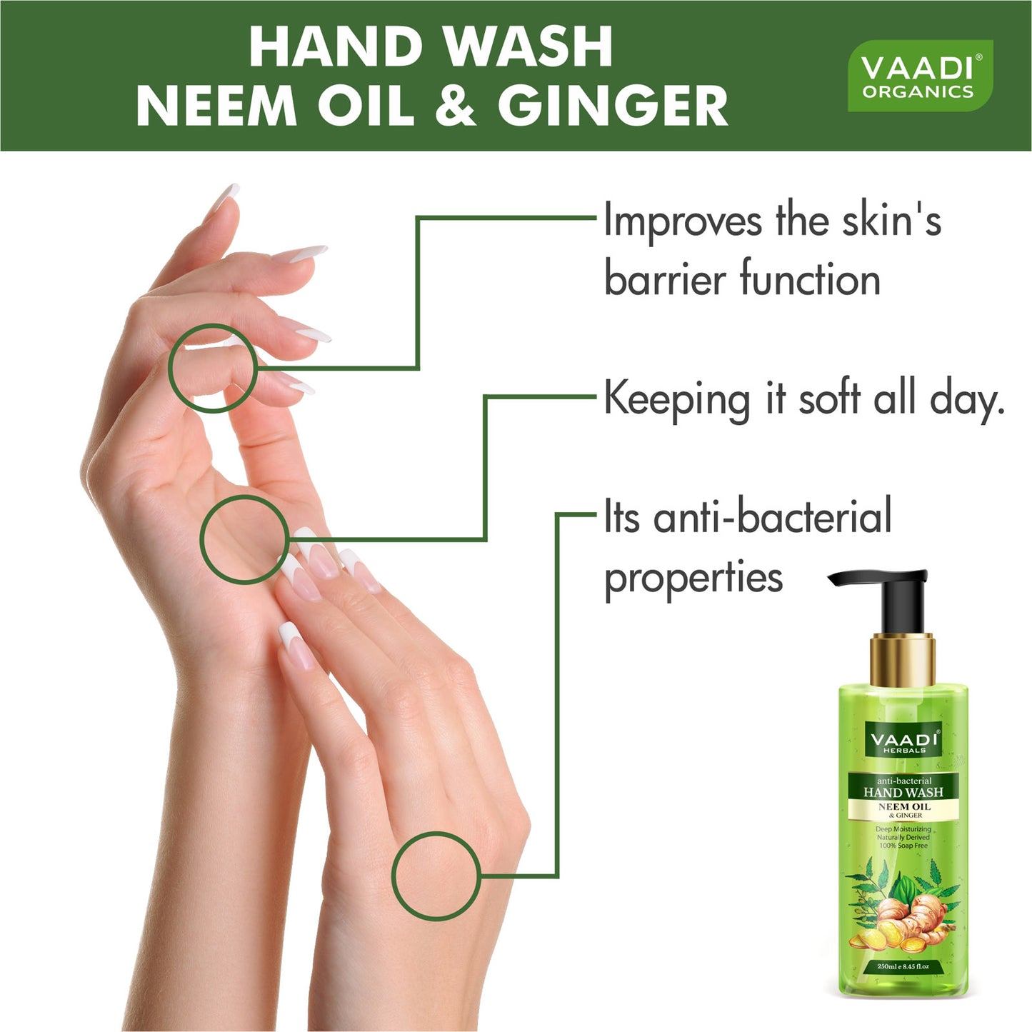 Pack of 3 Anti-Bacterial Neem Oil & Ginger Hand Wash (3 x 250 ml / 8.5 fl oz )
