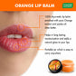 Assorted Pack of 3 Lip Balms (10 gms/ 0.4 oz x 3)