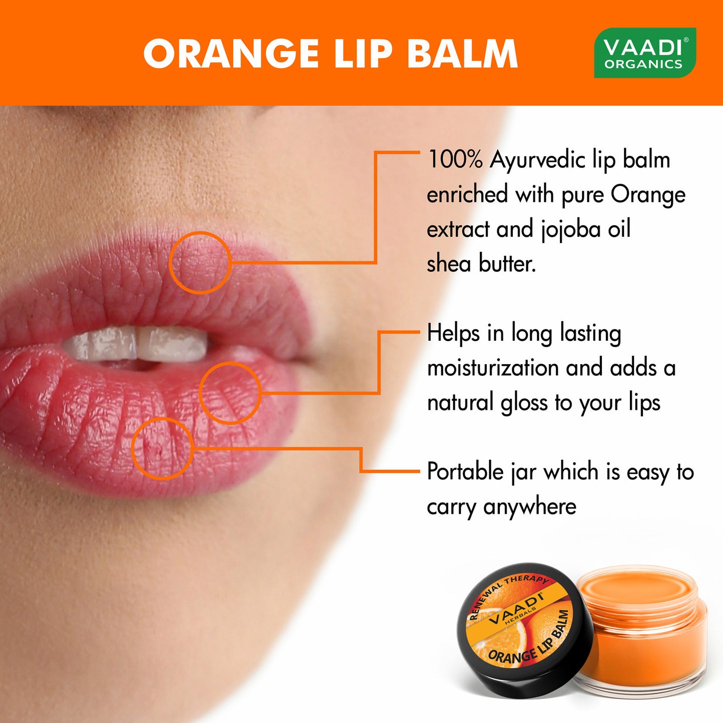 Assorted Pack of 3 Lip Balms (10 gms/ 0.4 oz x 3)