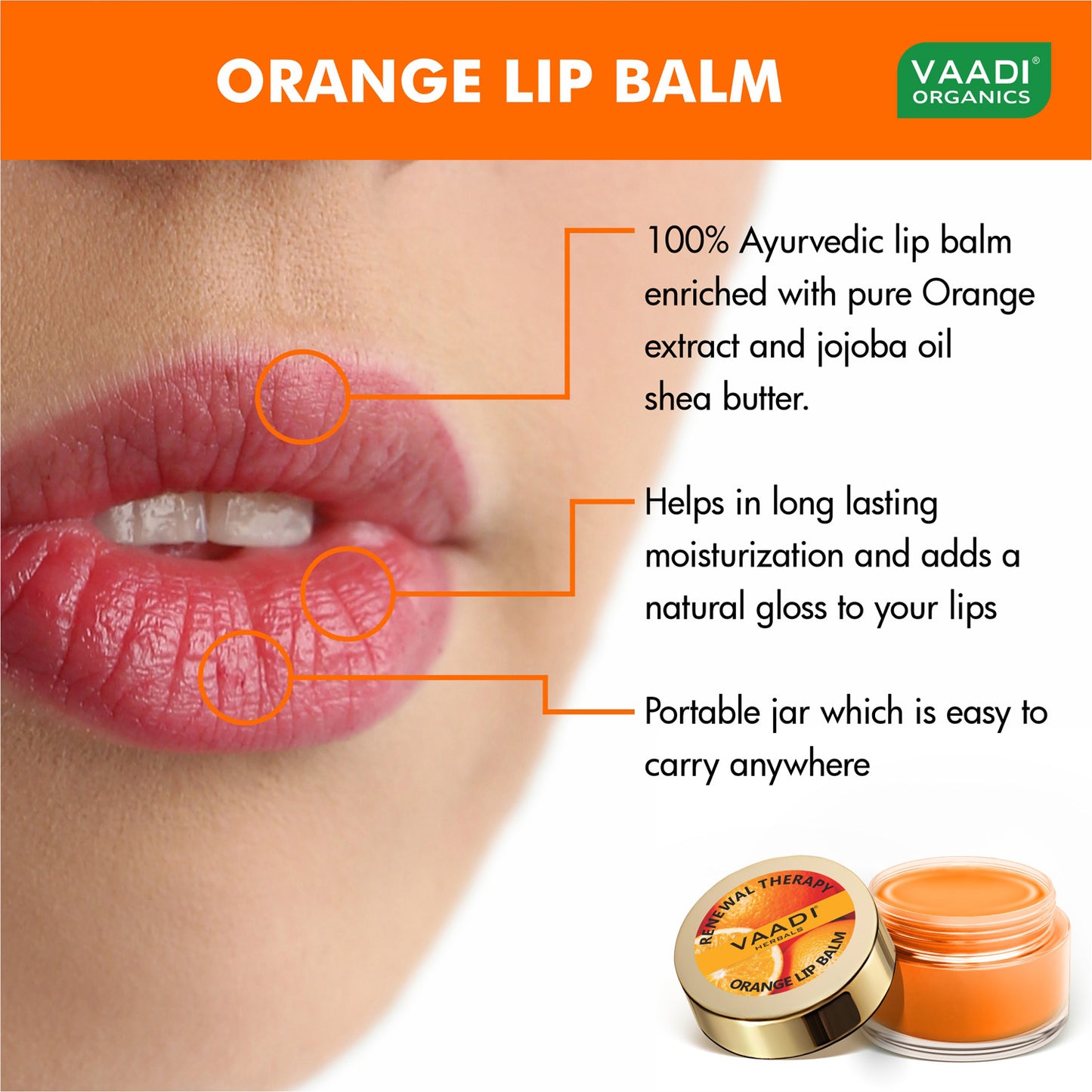 Skin Renewing Orange and Shea Butter Lip Balm (4 x 10 gms/0.4 oz)