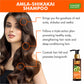 Hairfall & Damage Control Shampoo (Indian Gooseberry Extract) - Promotes Hair Growth - Adds Shine to Hair (110 ml/4 fl oz)