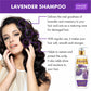 Intensive Repair Lavender Shampoo with Rosemary Extract - Multi Vitamin Rich Olive Conditioner with Avocado Extract (2 x 350 ml/ 12 fl oz)
