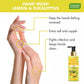 So Refreshing - Pack of 2 Luxurious Handwash - Blueberry & Lemon (2 x 250 ml / 8.5 fl oz )