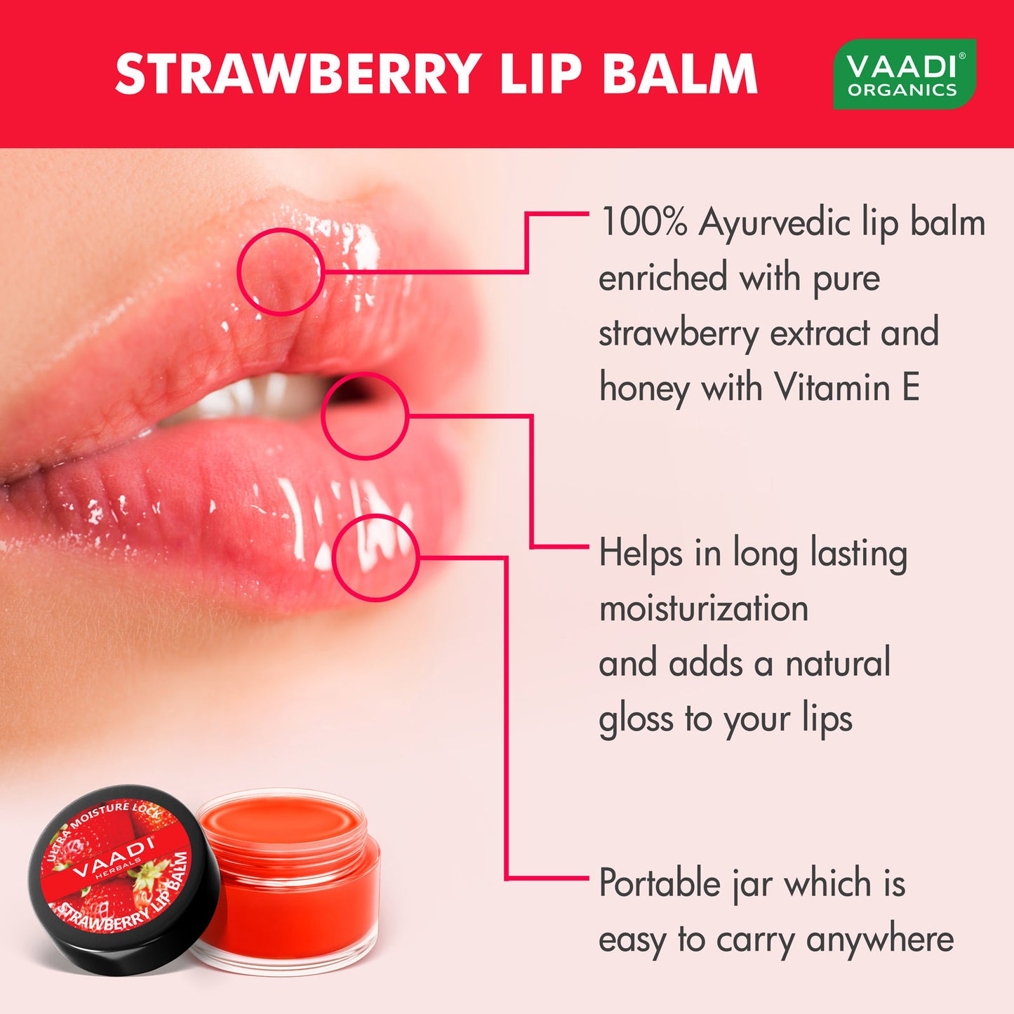 Assorted Pack of 3 Lip Balms (10 gms/ 0.4 oz x 3)