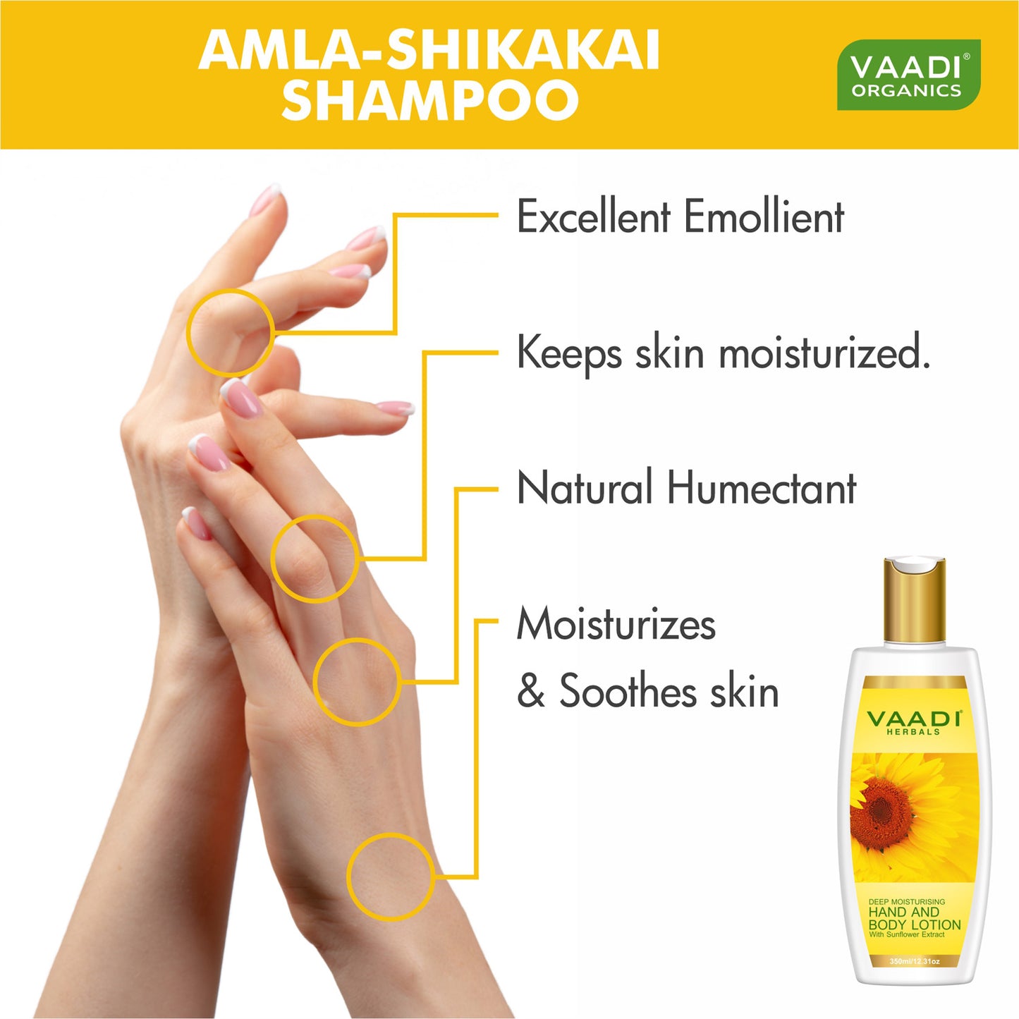 Hand & Body Lotion with Sunflower Extract - Enhances Water Retention in Skin - Keeps Skin Soft (350 ml/12 fl oz)