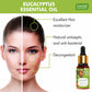 Eucalyptus Essential Oil - Prevents Hairfall, Acne, Soothing & Cool Fragrance - 100% Pure Therapeutic Grade (10 ml/ 0.33 oz)