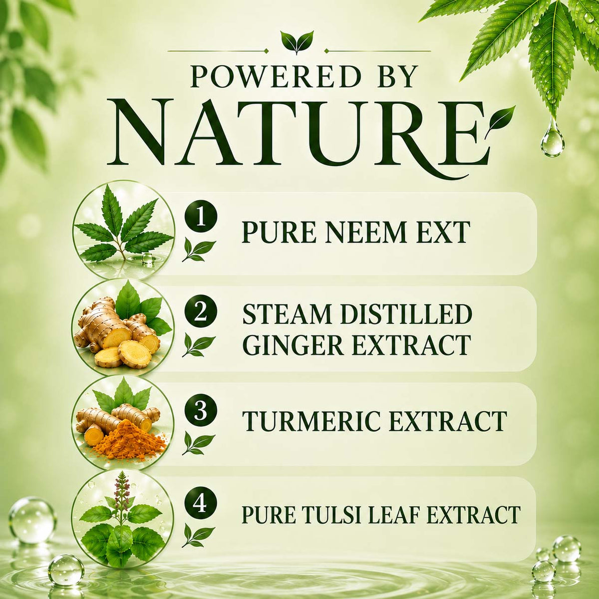 Anti-Bacterial Neem Oil & Ginger Hand Wash (250 ml / 8.5 fl oz )