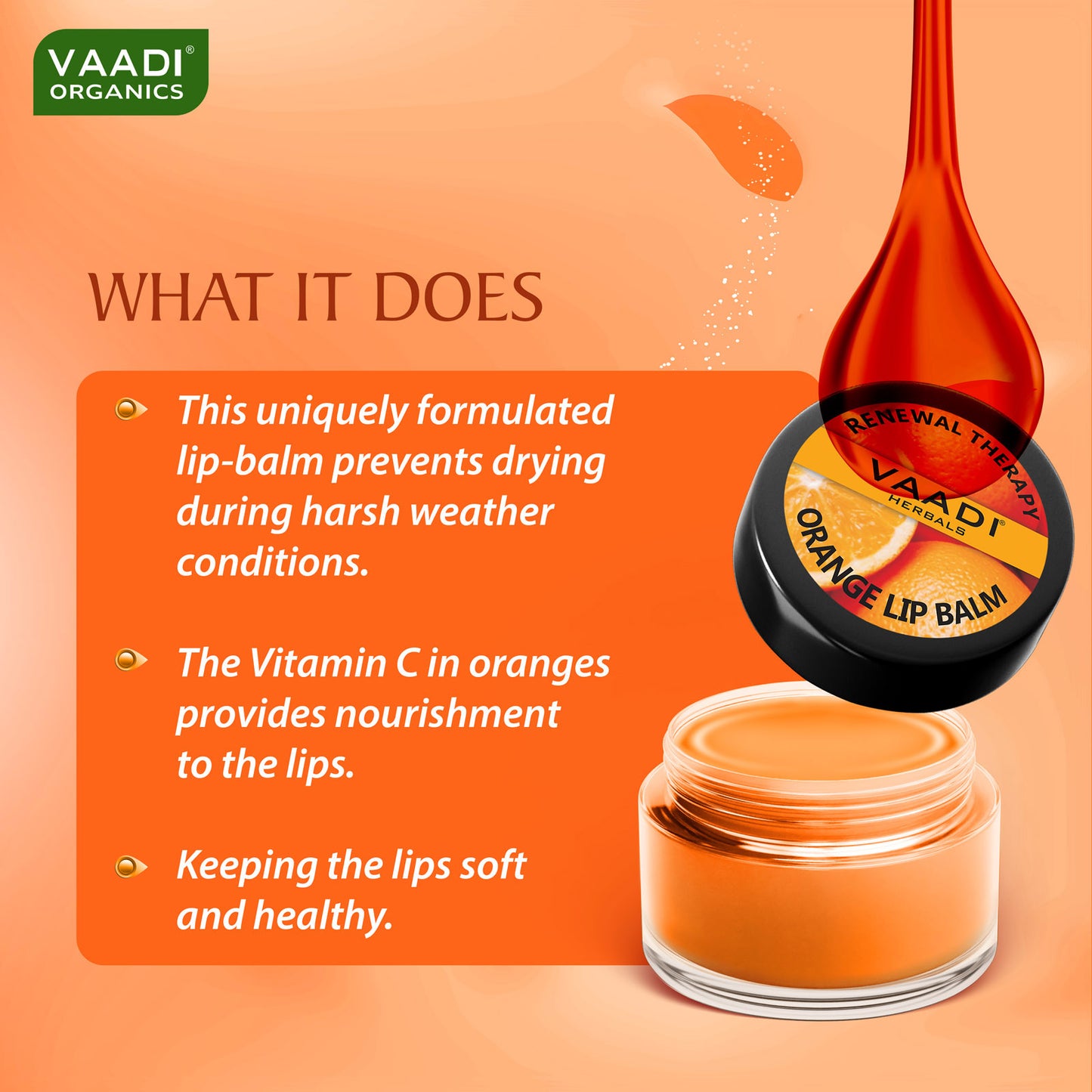 Assorted Pack of 3 Lip Balms (10 gms/ 0.4 oz x 3)