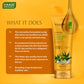 Organic Sunscreen Lotion SPF 50 with Aloe Vera & Chamomile - Non Greasy - Long Lasting - Soothes Burnt Skin (3 x 110 ml/ 4 fl oz)