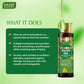 Cold Pressed Moringa Seed Olive Oil with Green Tea Extract- Repairs Damaged Hair-Deep Moisturisation -Skin Hydrating-Strengthens Hair -For All Types of Skin & Hair (120 ml / 4.05 oz)