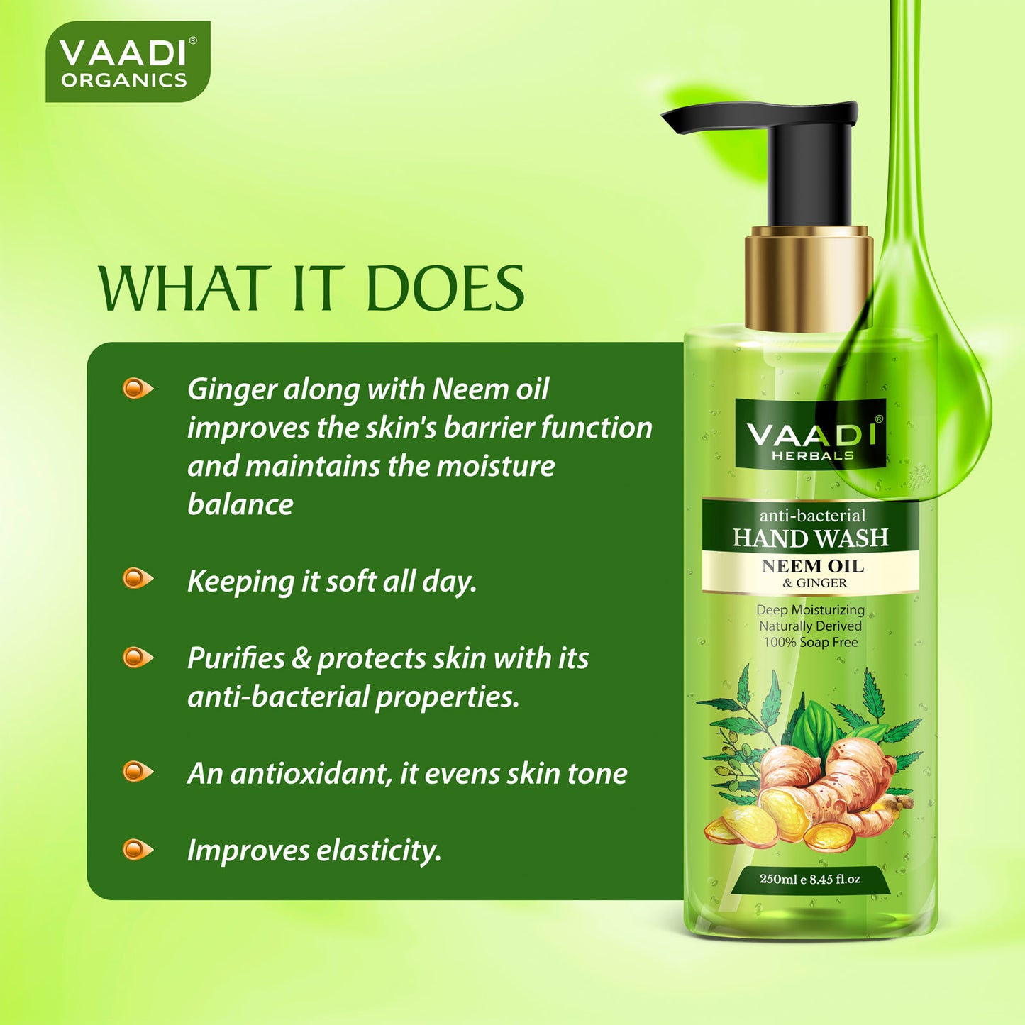 Pack of 3 Anti-Bacterial Neem Oil & Ginger Hand Wash (3 x 250 ml / 8.5 fl oz )
