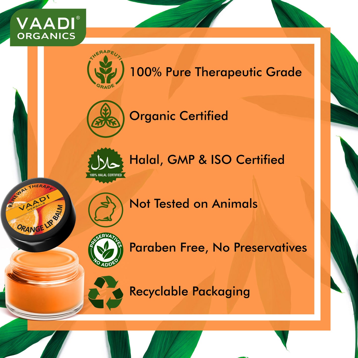 Assorted Pack of 3 Lip Balms (10 gms/ 0.4 oz x 3)