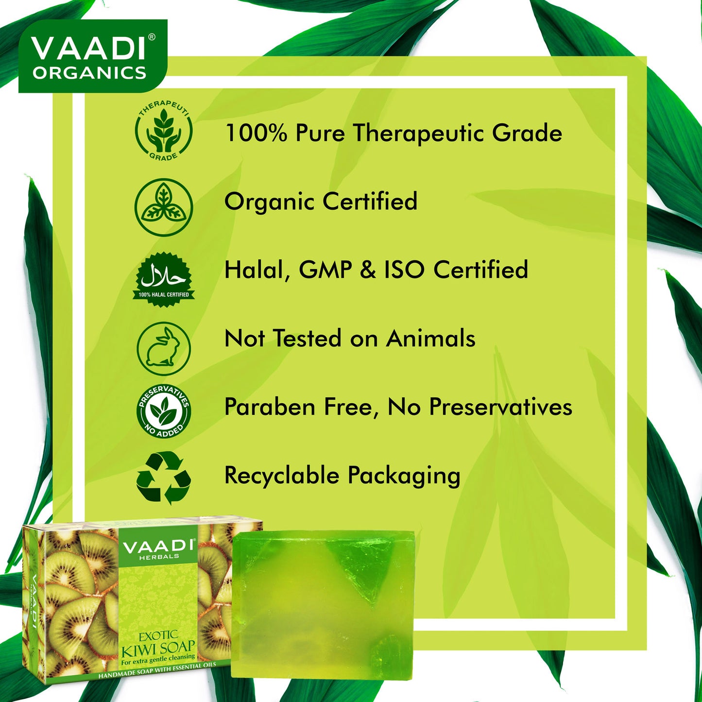 Exotic Kiwi Soap with Green Apple Extract - Gently Clears Skin- Makes Skin Glowing (12 x 75 gms / 2.7 oz)