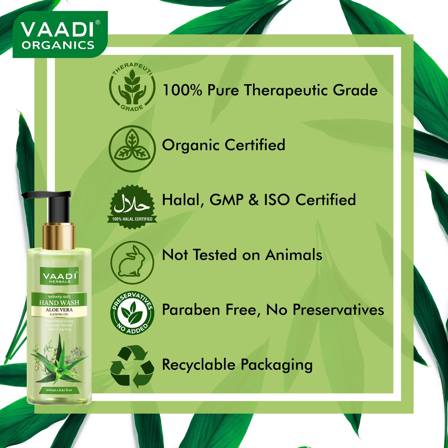 Pack of 3 Velvety Soft Aloe Vera & Jojoba Oil Hand Wash (3 x 250 ml / 8.5 fl oz )