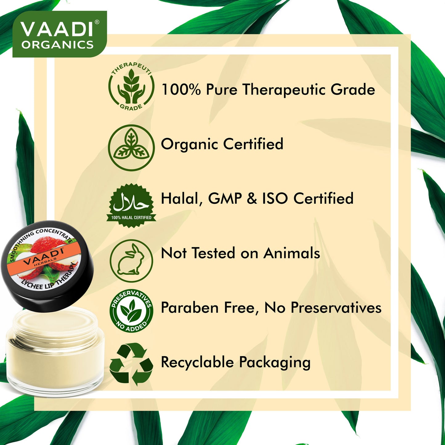 Assorted Pack of 3 Lip Balms (10 gms/ 0.4 oz x 3)