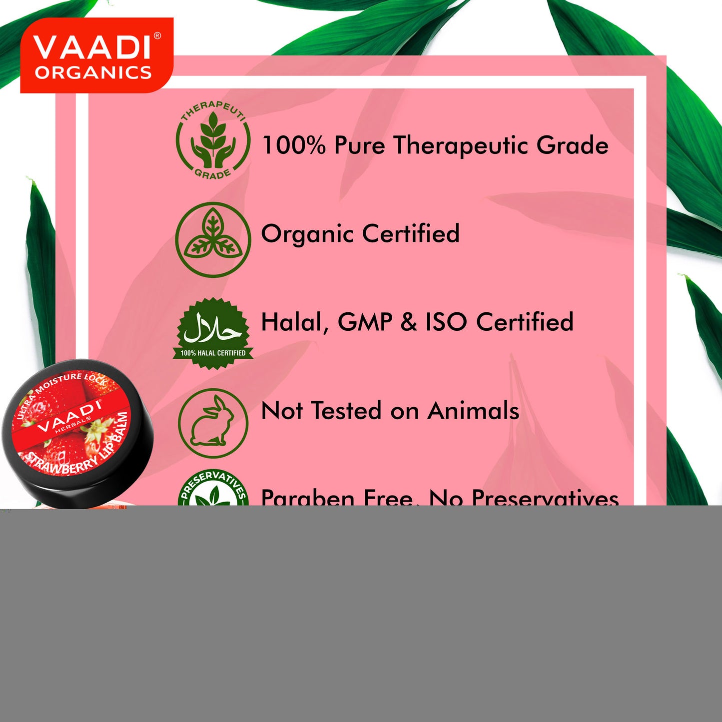 Assorted Pack of 3 Lip Balms (10 gms/ 0.4 oz x 3)