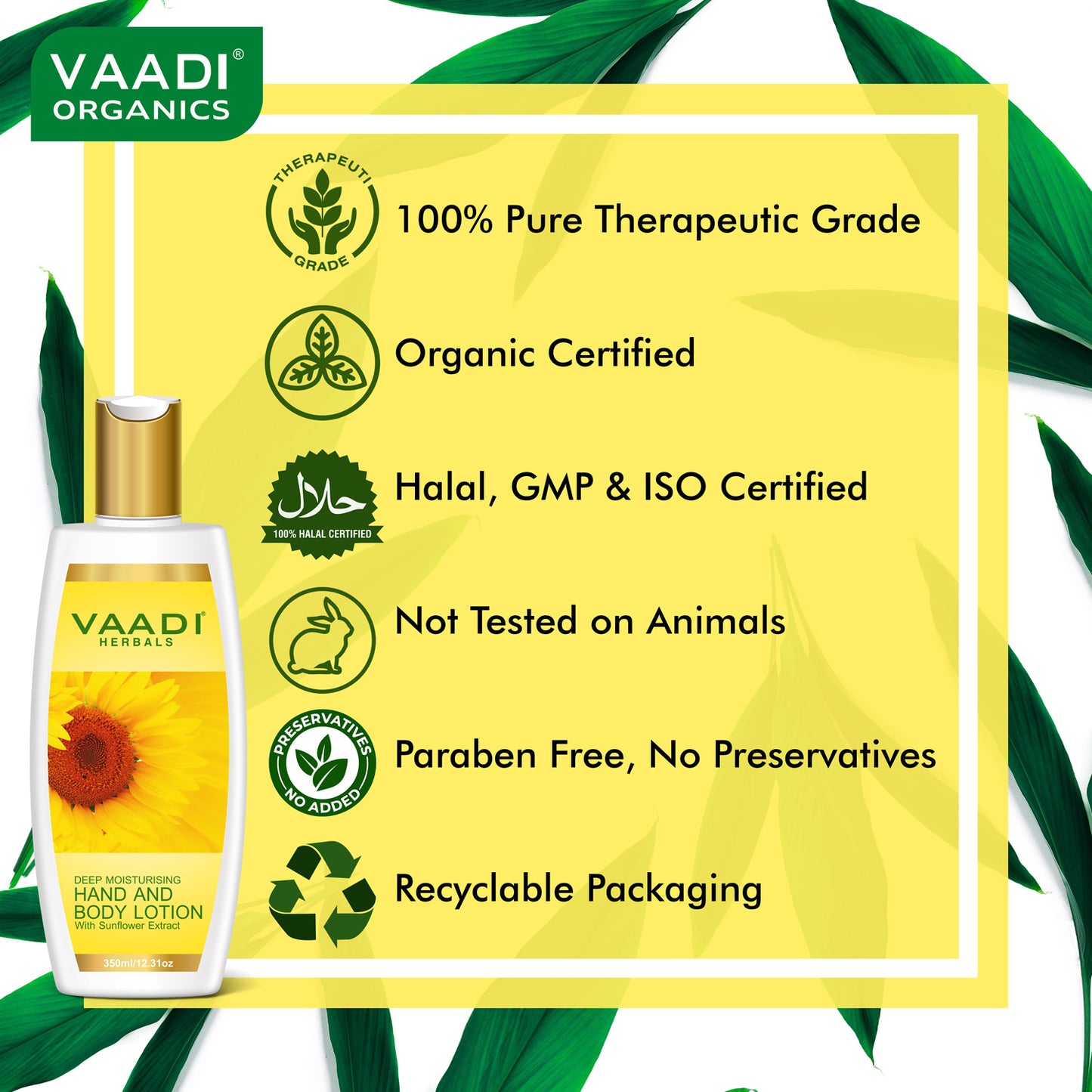 Hand & Body Lotion with Sunflower Extract - Enhances Water Retention in Skin - Keeps Skin Soft (350 ml/12 fl oz)