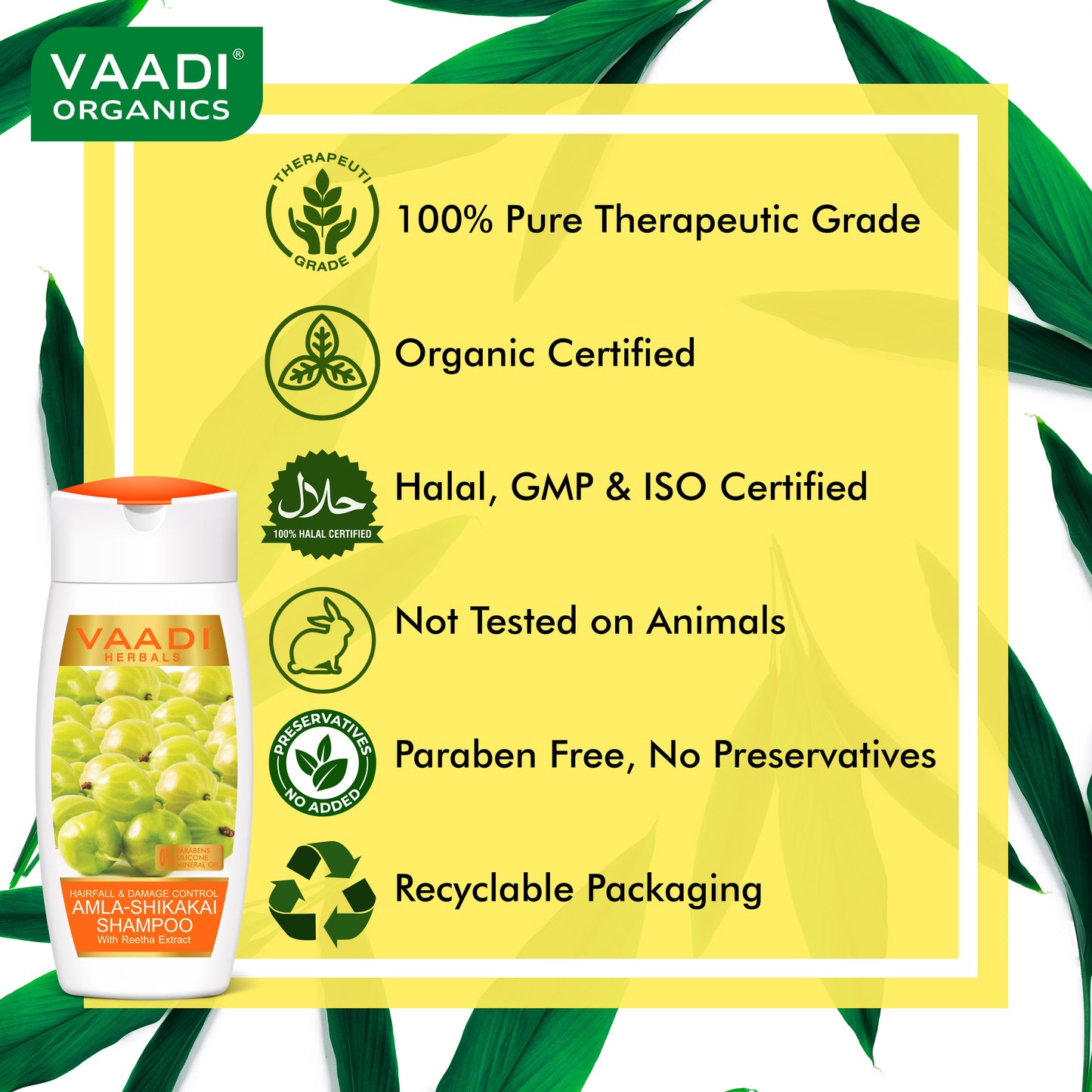 Hairfall & Damage Control Shampoo (Indian Gooseberry Extract) - Promotes Hair Growth - Adds Shine to Hair (3 x 110 ml/4 fl oz)