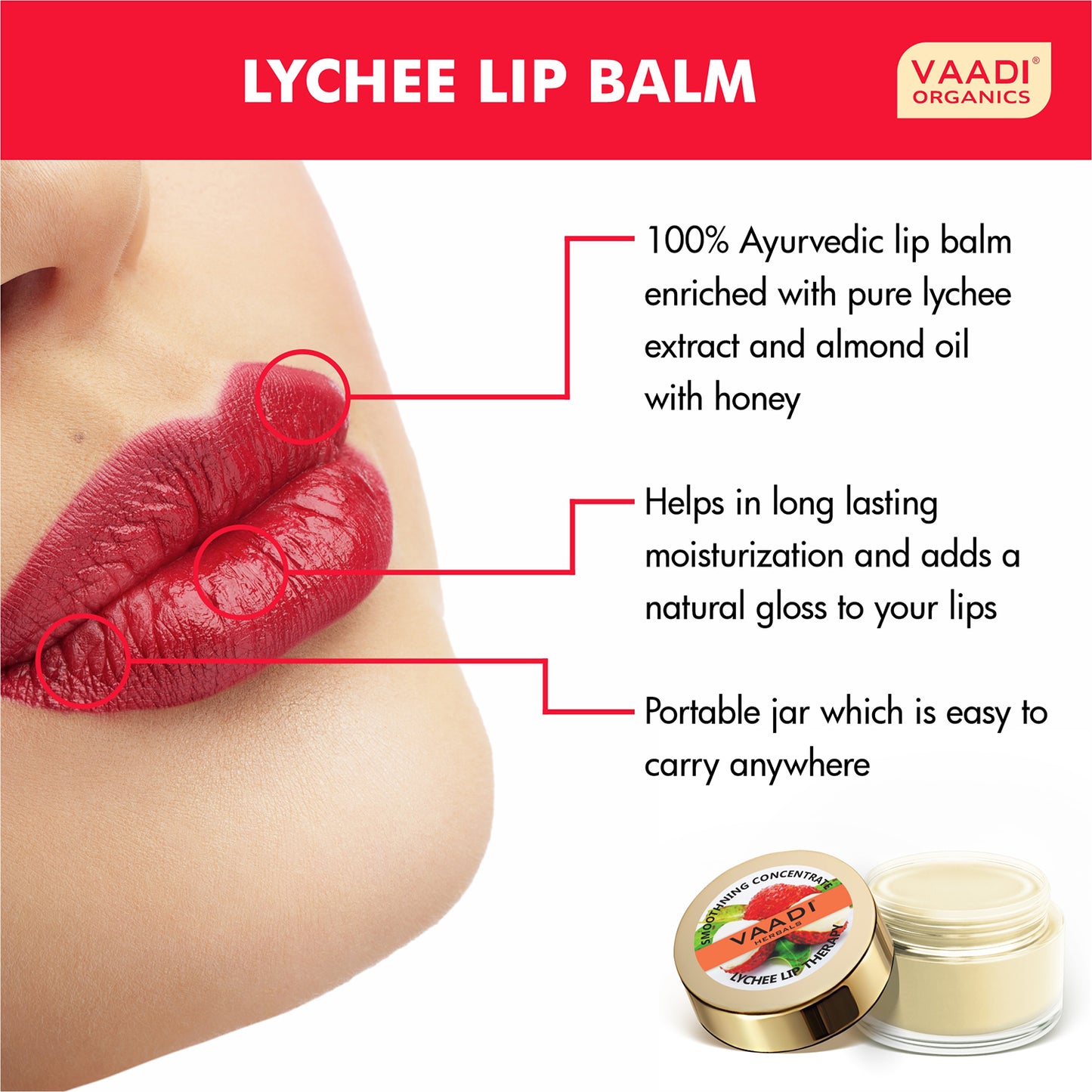 Assorted Pack of 3 Lip Balms (10 gms/ 0.4 oz x 3)