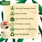 Assorted Pack of 3 Lip Balms (10 gms/ 0.4 oz x 3)