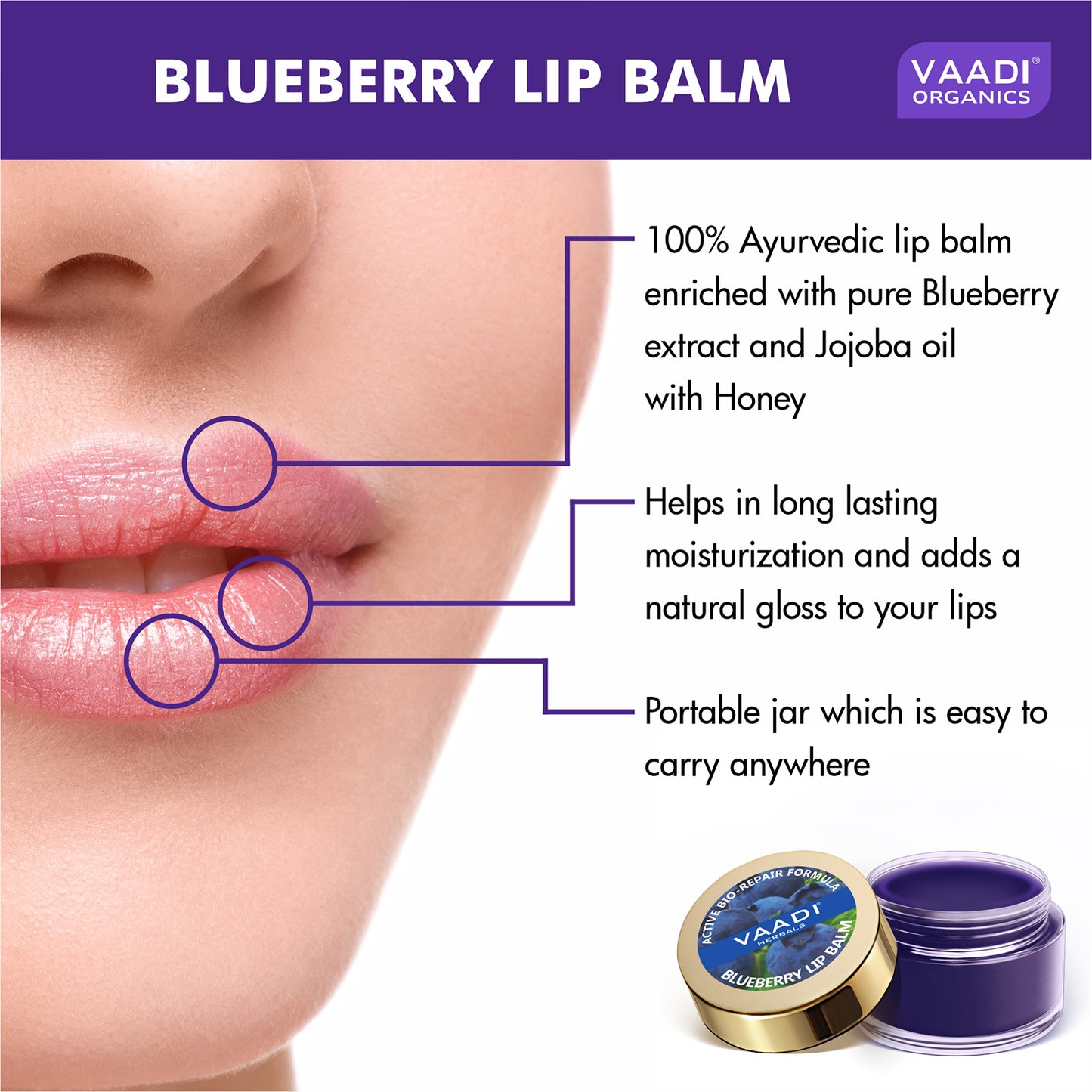 Assorted Pack of 3 Lip Balms (10 gms/ 0.4 oz x 3)