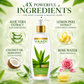 Aloe Vera Deep Pore Cleansing Milk with Lemon Extract - Cleanses & Softens Skin - Locks In Moisture All Day (350 ml/ 12 fl oz)