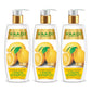Dandruff Defense Lemon Shampoo with Tea Tree Extract - Disinfects Scalp - Prevents Hairfall (3 x 350 ml/ 12 fl oz)