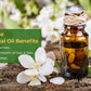 Organic Jasmine Essential Oil - Nourishes Dry & Damaged Hair, Improves Sleep, Uplifts Mood, Reduces Acne & Blemishes