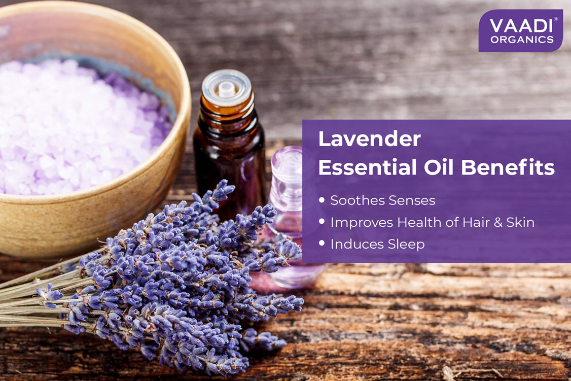 Lavender Essential Oil - 1 oz - Organic | Mountain Rose Herbs