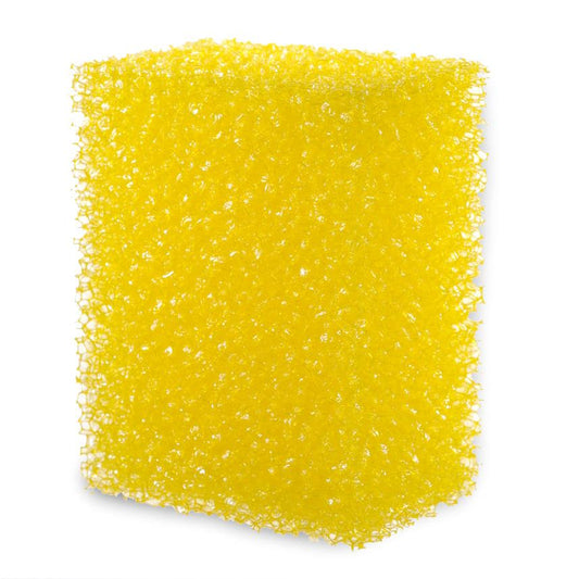 Body Exfoliating Sponges